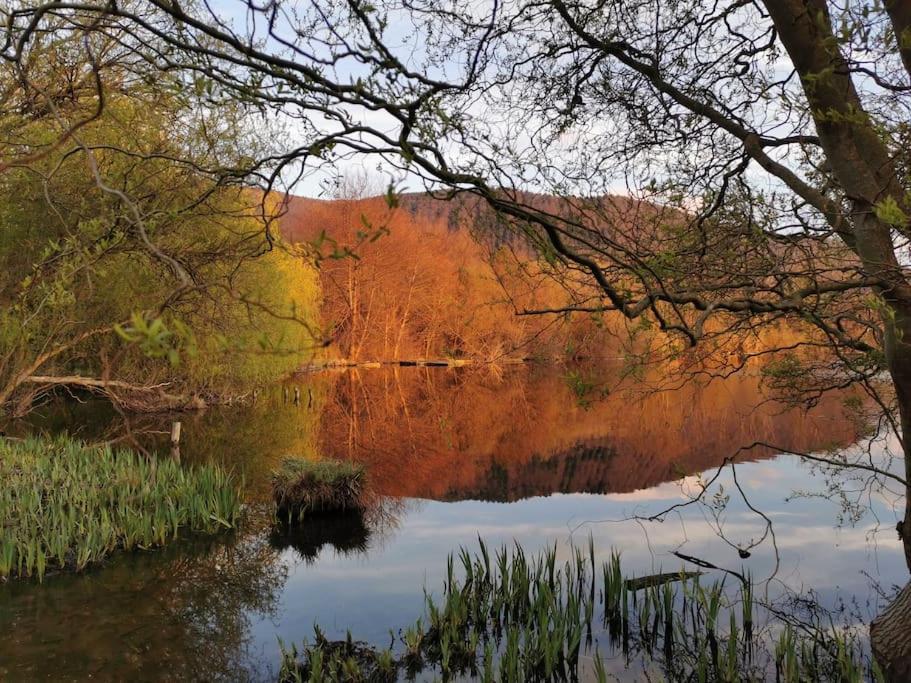Cottage Les Pyrenees Au Bord De L'Eau Barbazan ภายนอก รูปภาพ